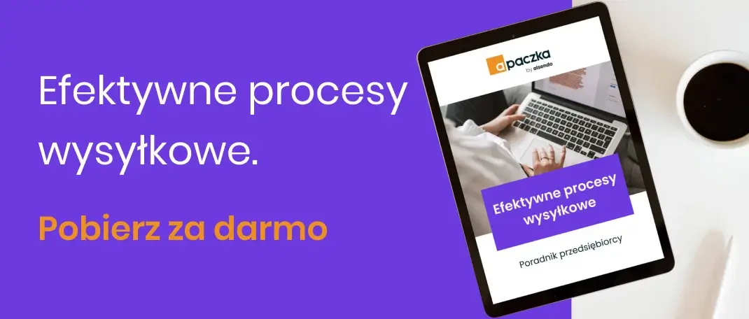 e-book Efektywne procesy wysyłkowe